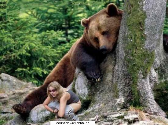 nu-s bancuri... funny things, poze, versete, poezii altele... coment