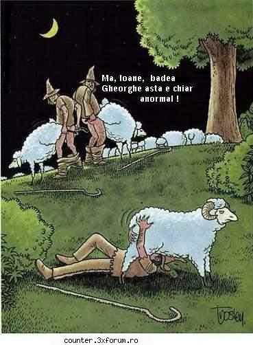 nu-s bancuri... funny things, poze, versete, poezii altele... coment