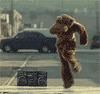 heeloo filme